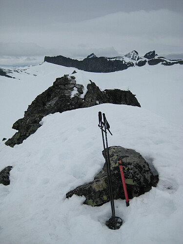 Toppområdet på Humpedumpen. Foto mot nord.  Kniven og Sakse i bakgrunnen
