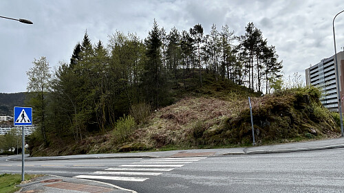 St. Hanshaugen sett fra nord.