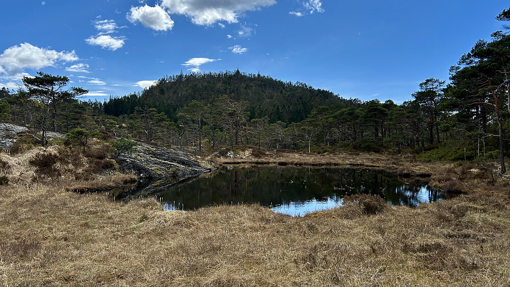 Idyllisk lite tjern på grensen mellom Os og Bergen. Lyshornet i bakgrunnen mot sør