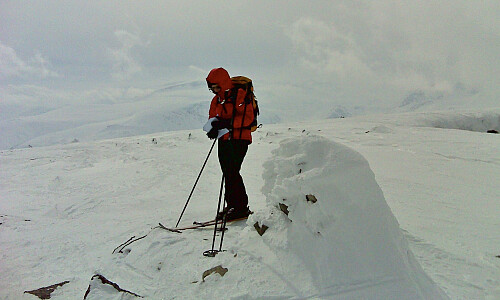 Astrid på Nautgardsoksle