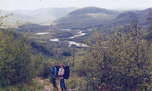 Viveli kommer til syne. Foto fra Sutabrekka i nord