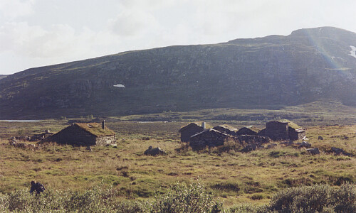 Heimsta Hallaskar