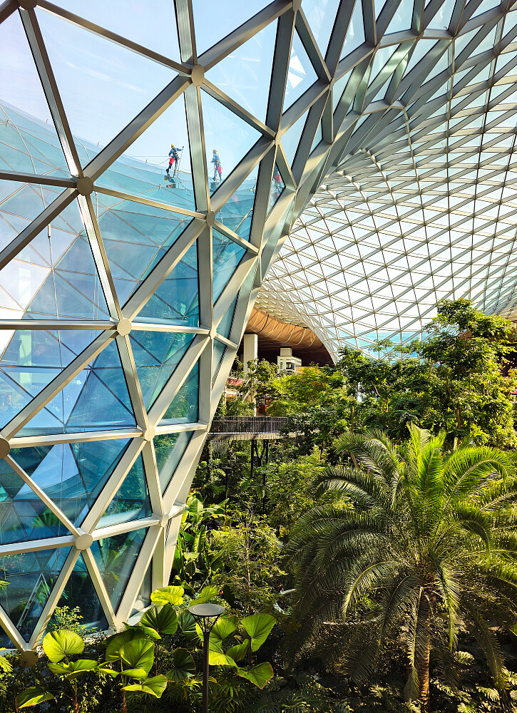 Grønt under taket på Hamad International Airport (Qatar)