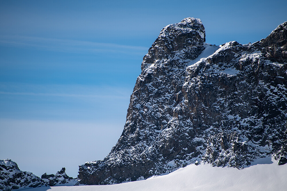 Nåle fra Veslpiggen