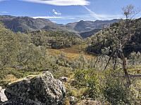 Sola_20250912_68c3cd977ed35.jpg