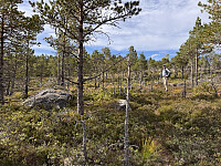 Sola_20250912_68c3ce5e65928.jpg