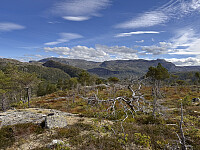 Sola_20250912_68c3ce669e469.jpg