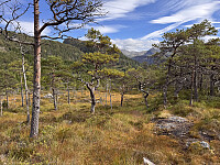 Sola_20250912_68c3ce73478d3.jpg