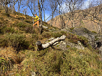 Sola_20251015_68efb2acd6aad.jpg