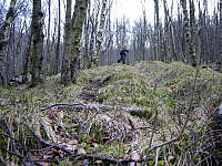 Sola_20260502_69f5a5a073577.jpg