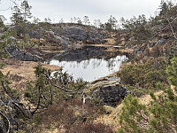 Sola_20260502_69f5a8be34153.jpg