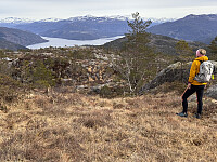 Sola_20260502_69f5a8be56b53.jpg