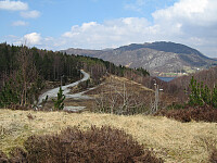 Sola_20260502_69f5ac7c5c423.jpg