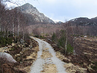 Sola_20260502_69f5ac7c8dd9a.jpg