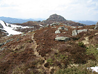 Sola_20260502_69f5ac7daacfd.jpg