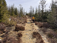 Sola_20260504_69f890968d828.jpg