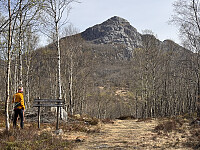 Sola_20260504_69f89096cfc03.jpg