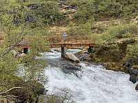 Sola_20260607_6a2550f6ed302.jpg