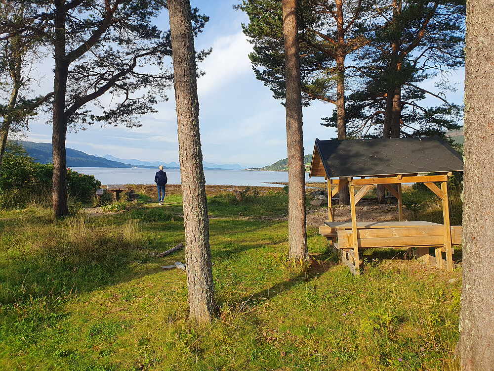 Dagens bilde ved Stikk-uten nede ved fjorden  
