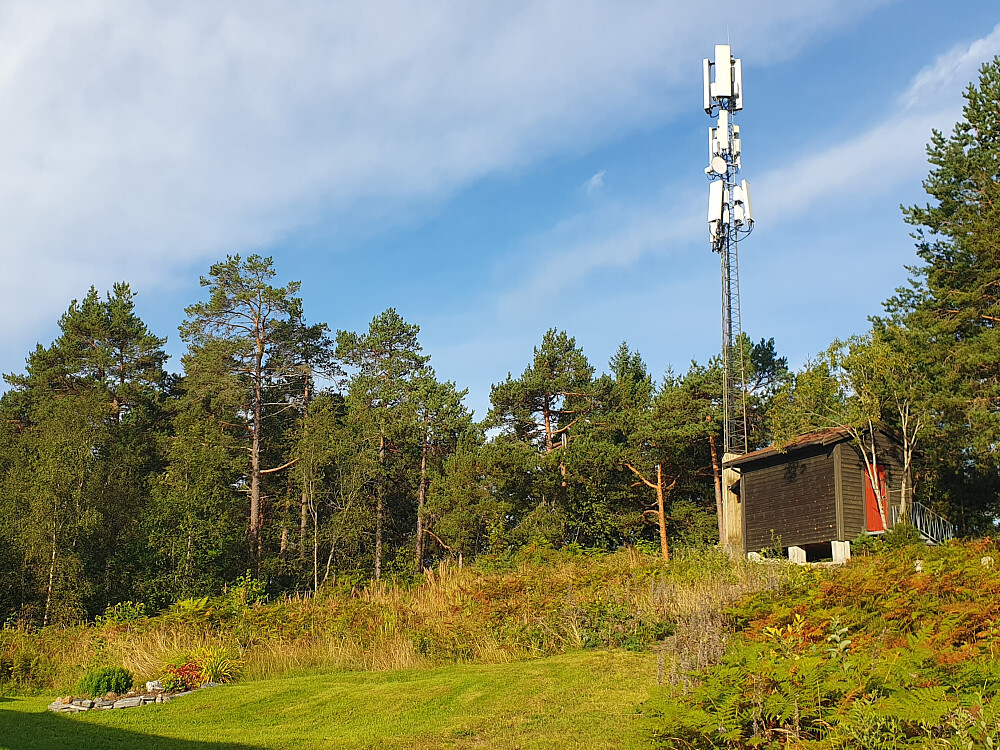Mast rett før toppen 