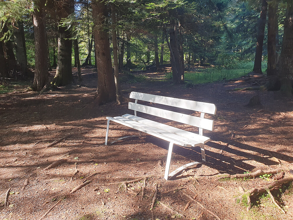 Kvilerbenken min i Retiroskogen 