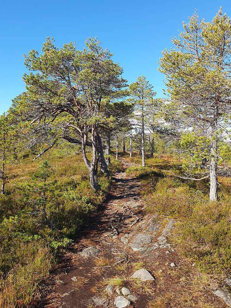 På Eikremsnakken 
