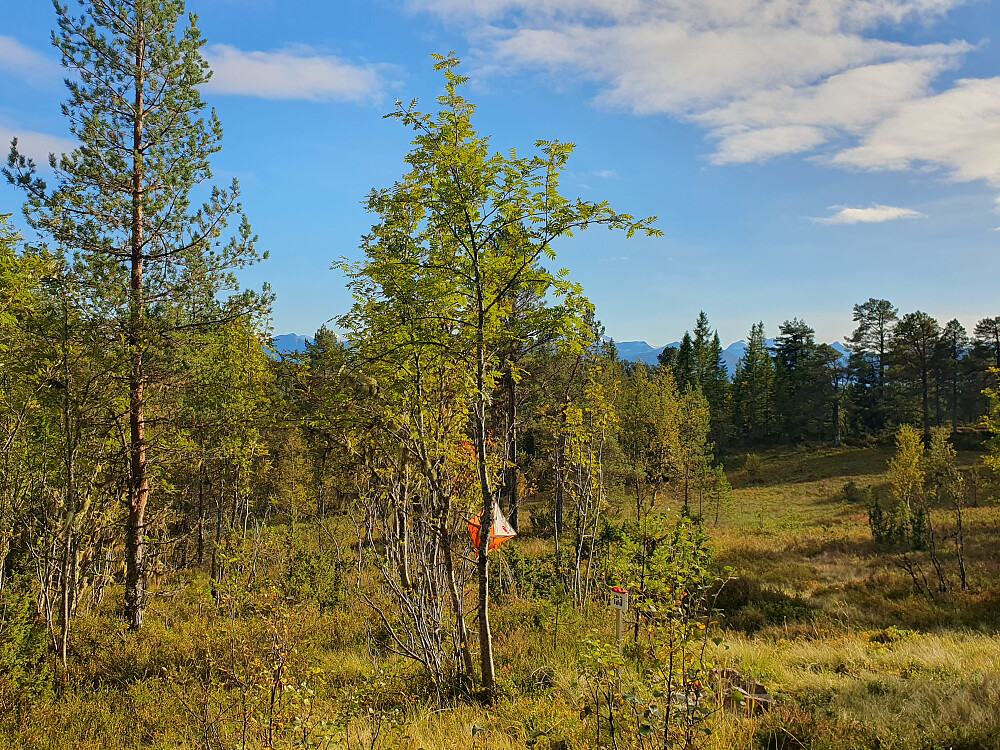 På Moldegårdshaugen 