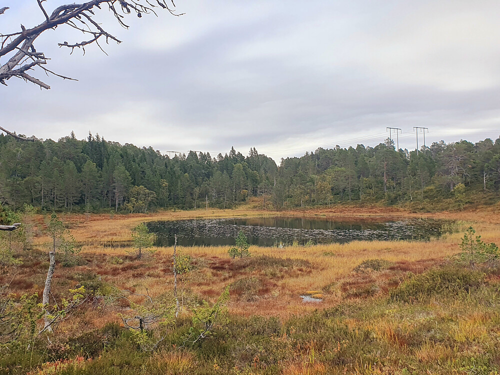 Bergstjønnet 