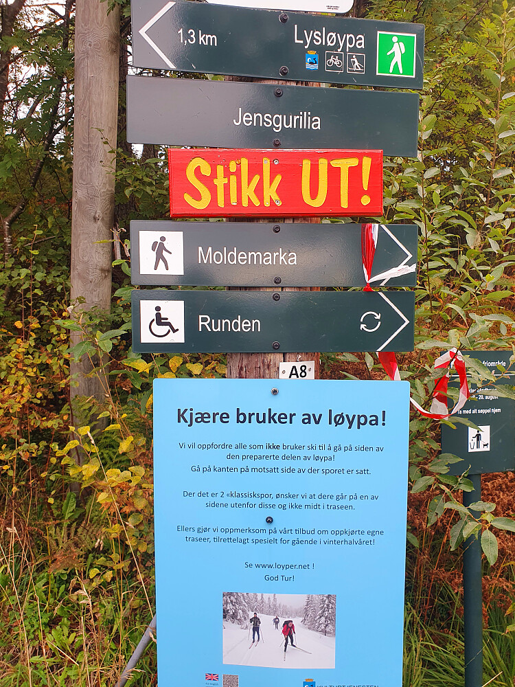 På Jensgurilia 