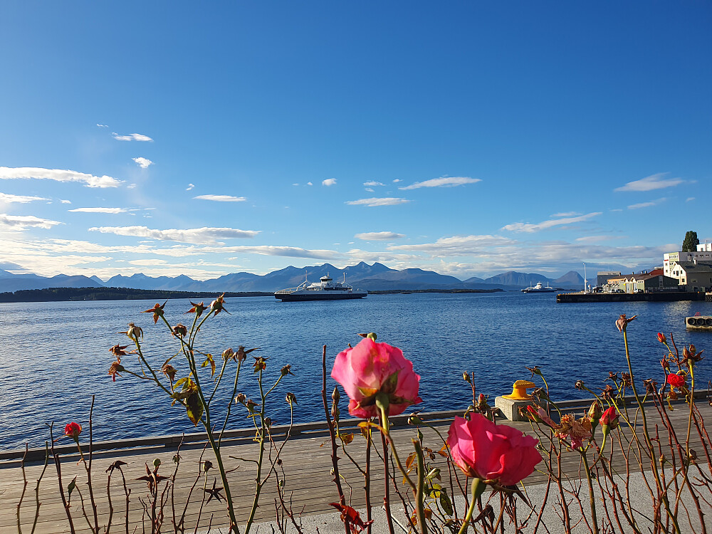 Sjøfronten 