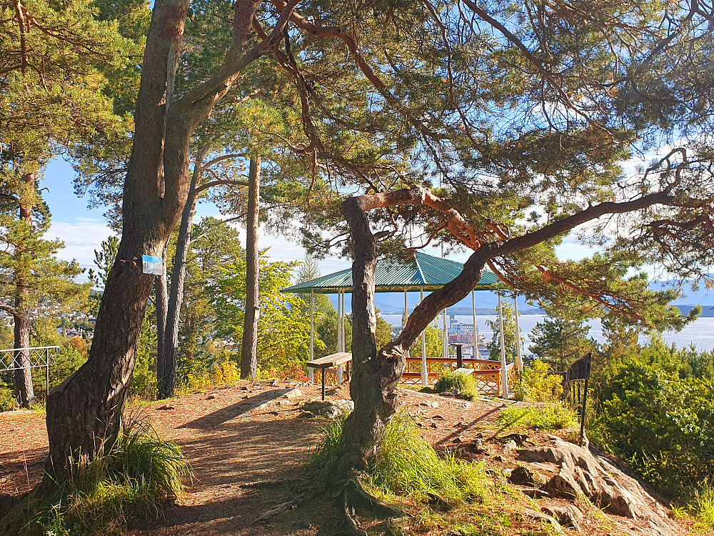 Rekneshaugen