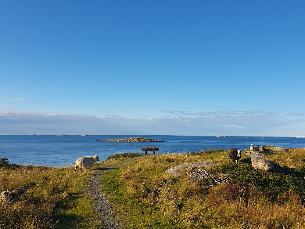 På Rindarøya 