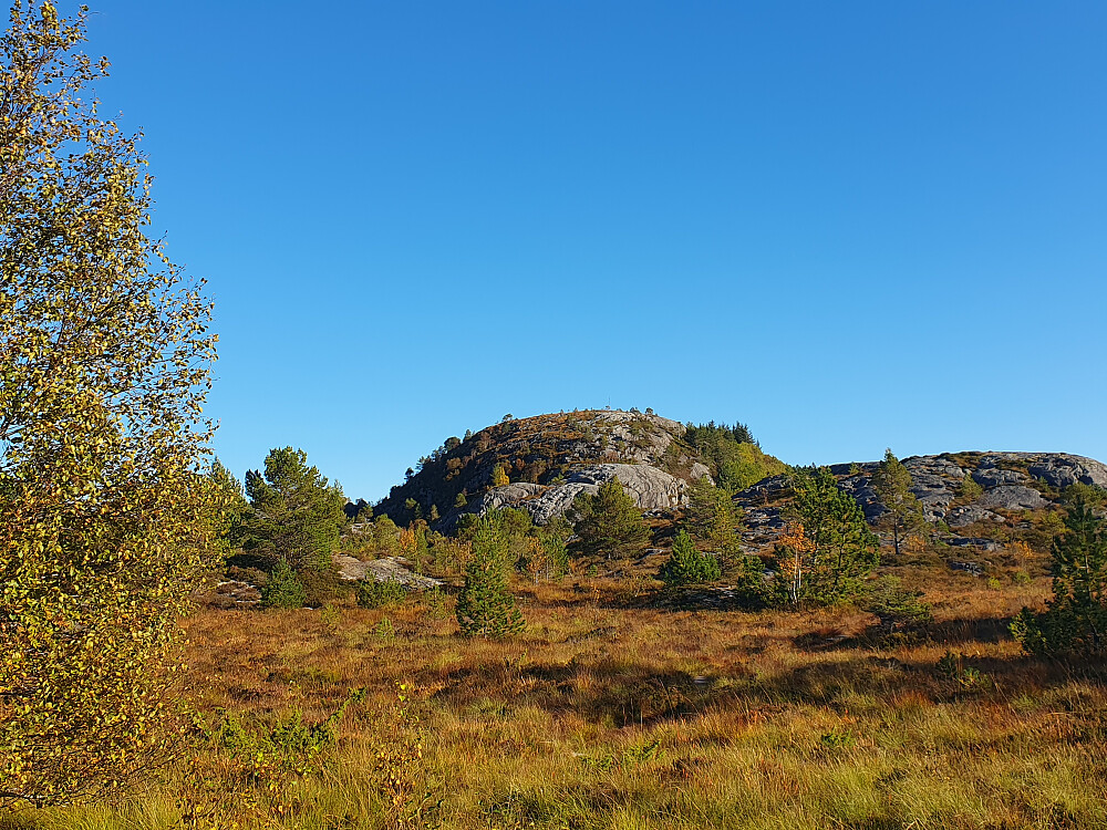 Jærmannburet (99 moh)