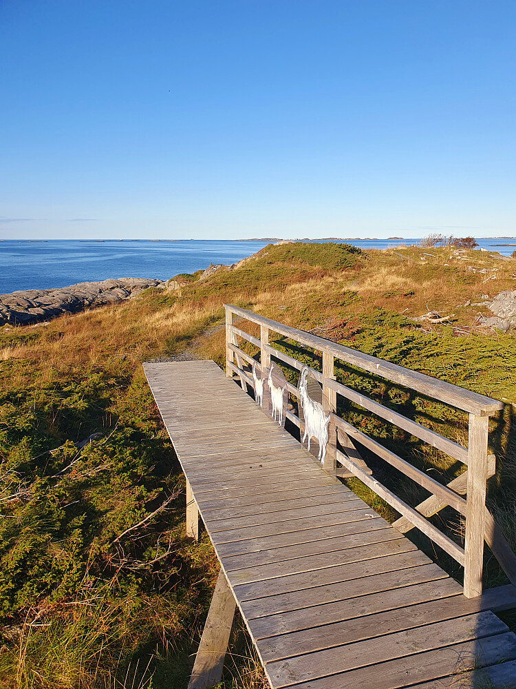 Rindarøya 