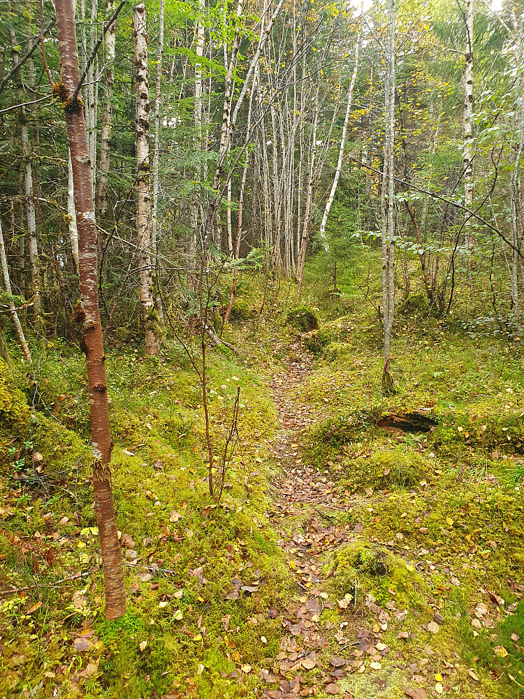 Mot Retirohaugen 