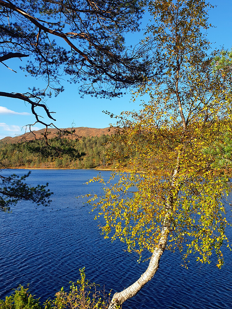 V/Øverlandsvatnet 