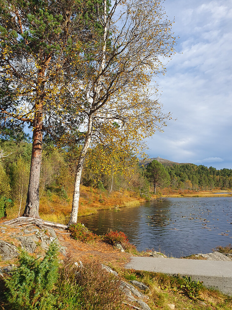 V/Øverlandsvatnet 