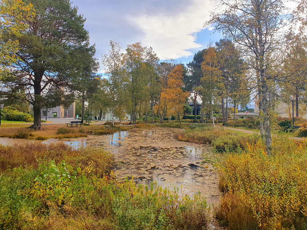 Romsdalsmuseet 