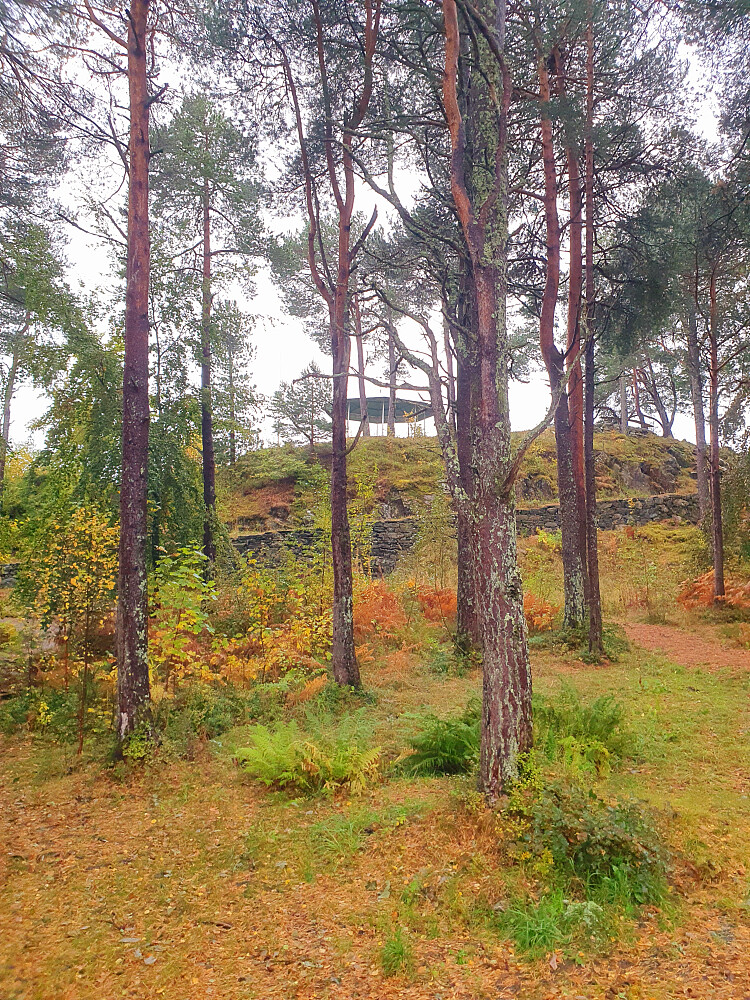 Rekneshaugen 