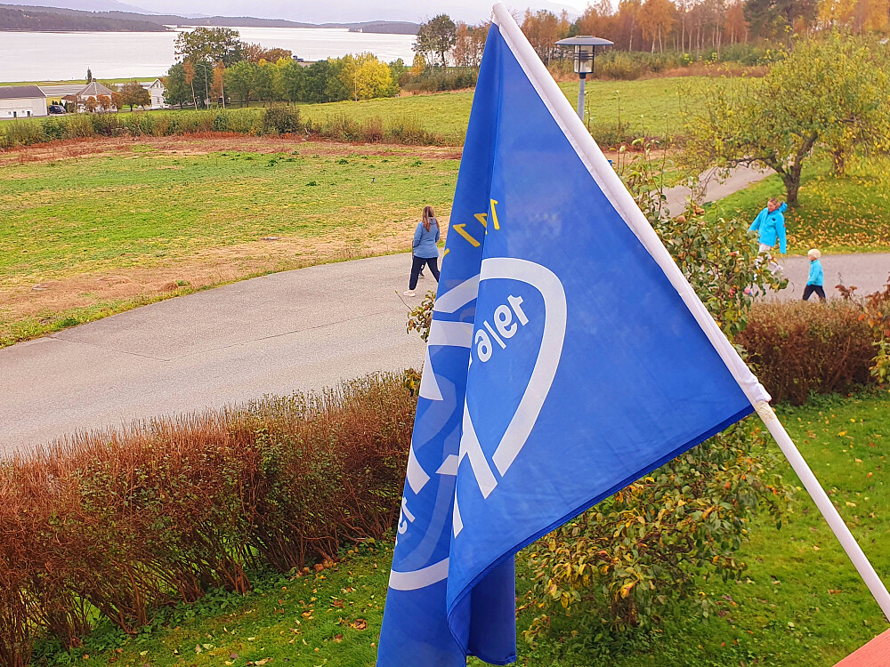 Moldeflagget på plass etter at damelaget rykket opp til øverste nivå i dag :-)