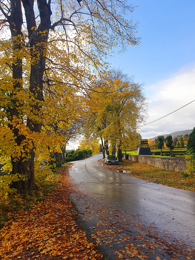 Tøndergård 
