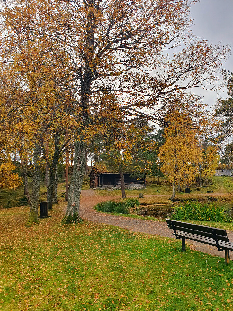 Romsdalsmuseet 