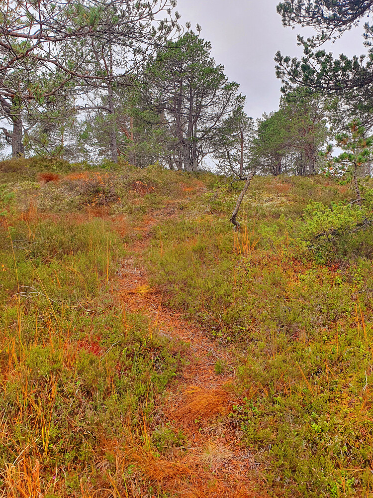 Greit råk over Hindalsrøra 