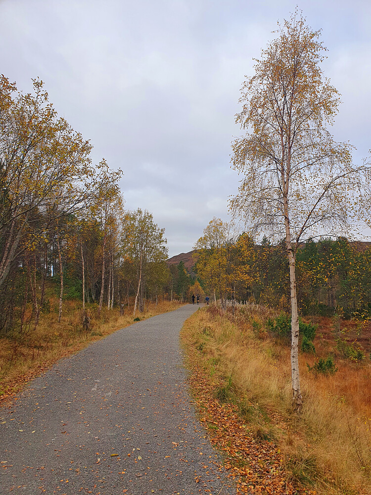 Flotte høstfarger å glede seg over hele turen 