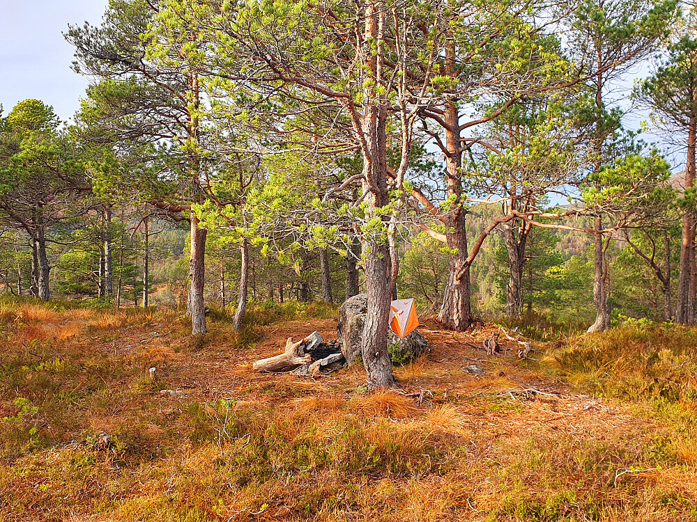 Hindalsrøra 