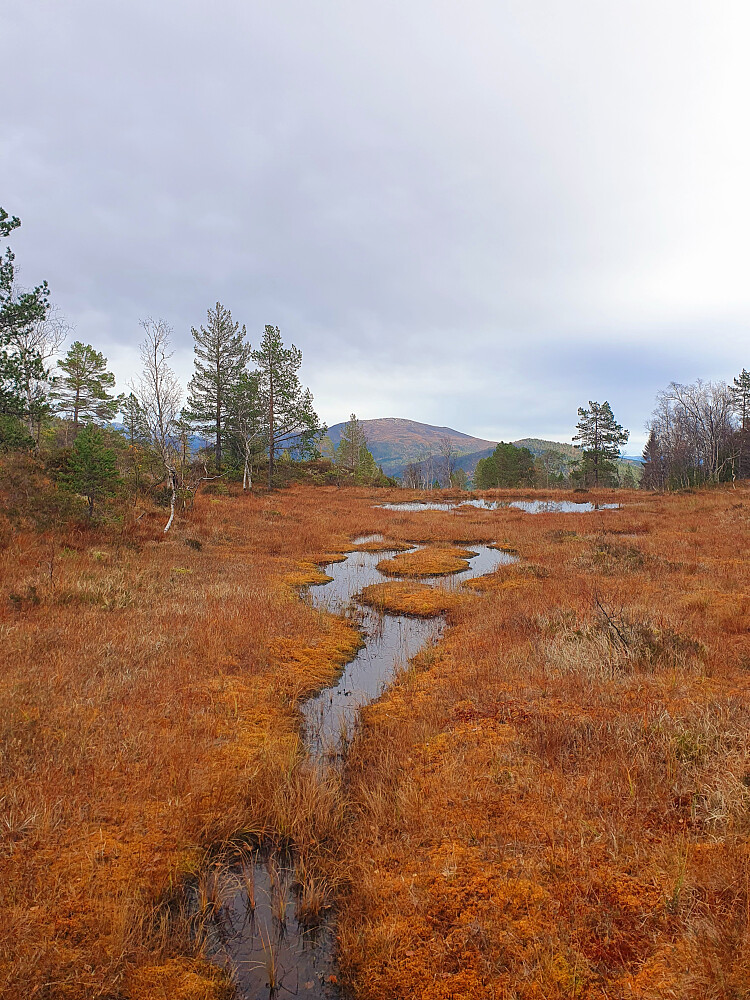 Mot Lønsetfjellet 
