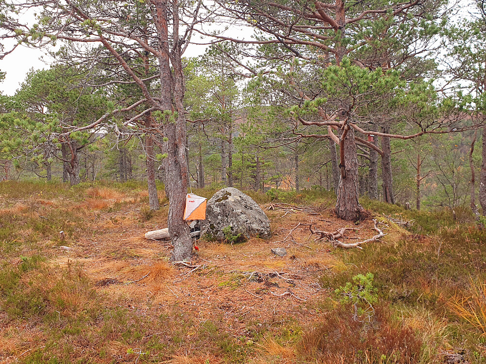 Hindalsrøra 