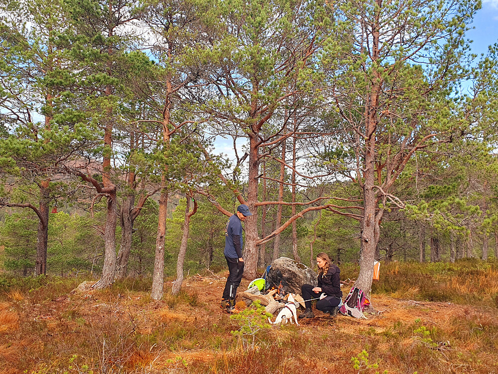 På Hindalsrøra. Bergmo Ungdomsskole friluftsliv hadde aktiviteter rundt toppen.