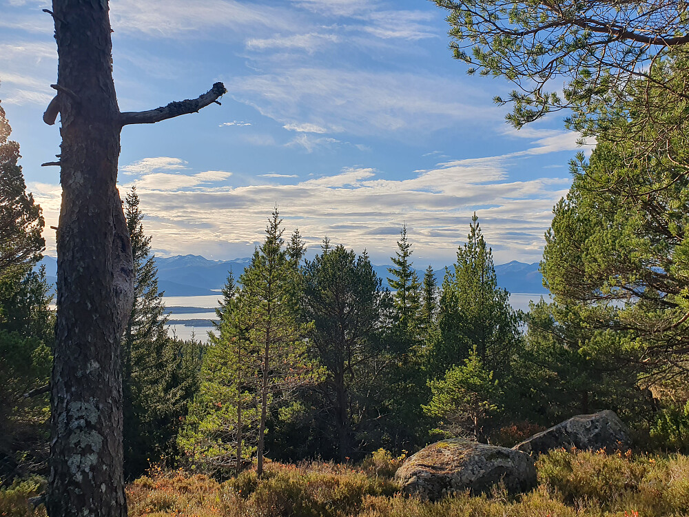 Utsikt fra Jensgurilia
