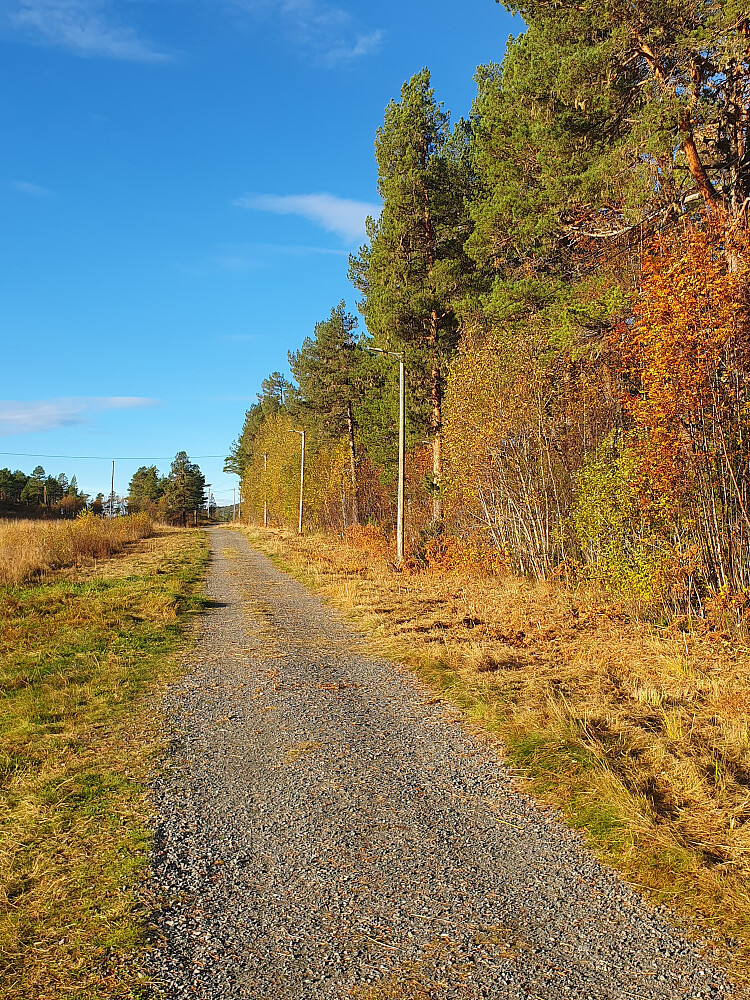 Lysløypa